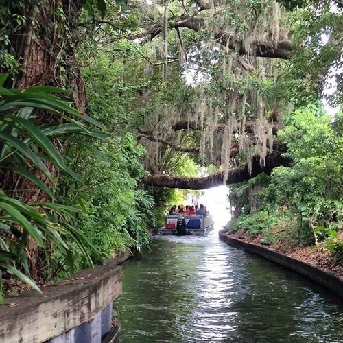 gray_line_winter_park_boat_tour